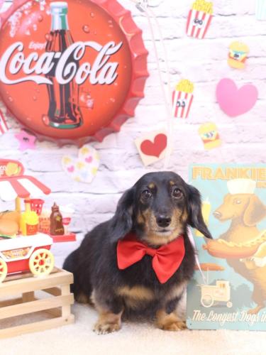 20230907モカちゃん